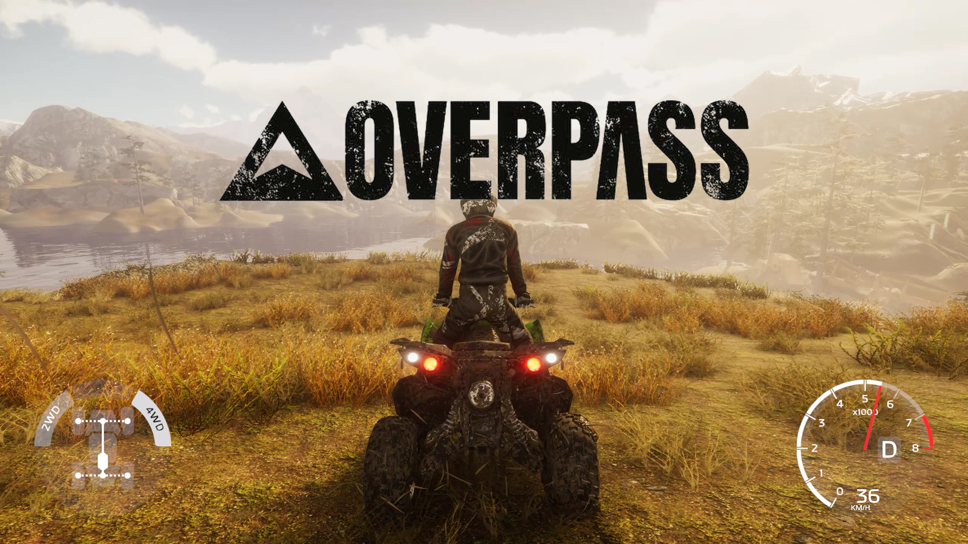 define overpass
